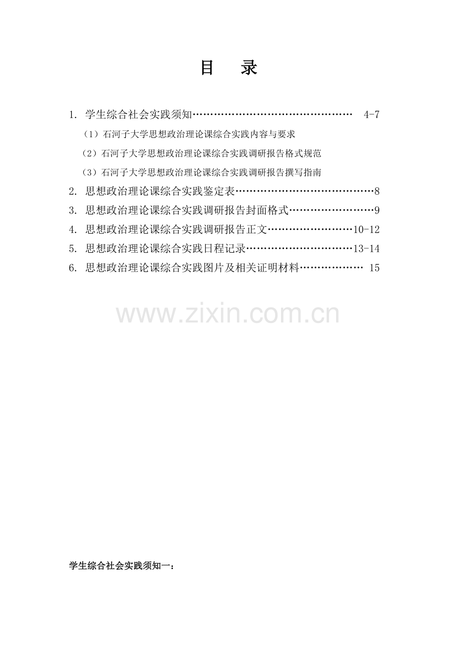 大学思想政治理论课综合实践手册.doc_第3页