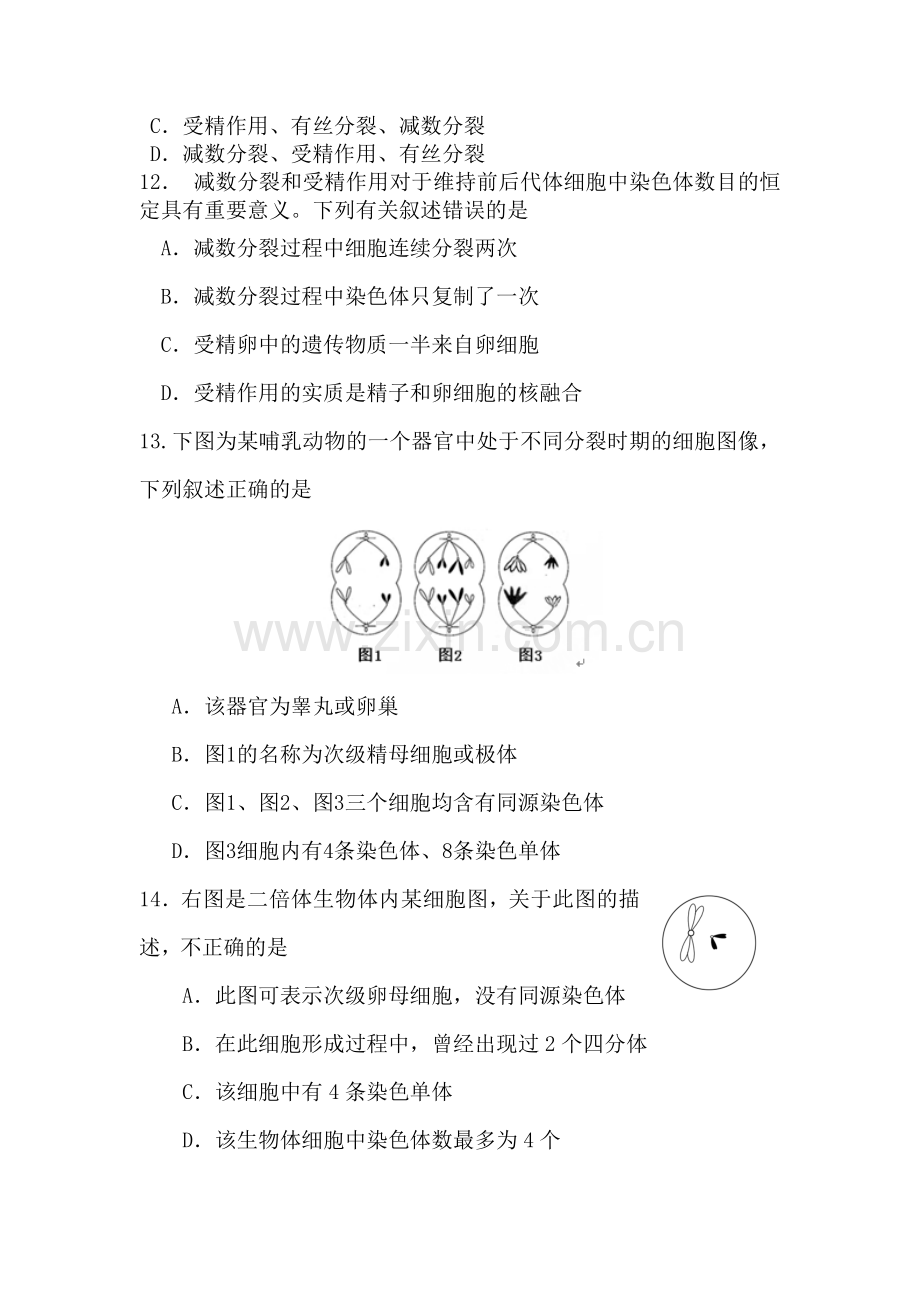 江苏省盐城市2015-2016学年高一生物下册期中试题2.doc_第3页