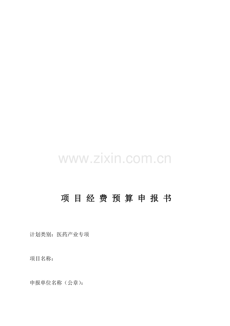 《项目经费预算申报书》.doc_第1页