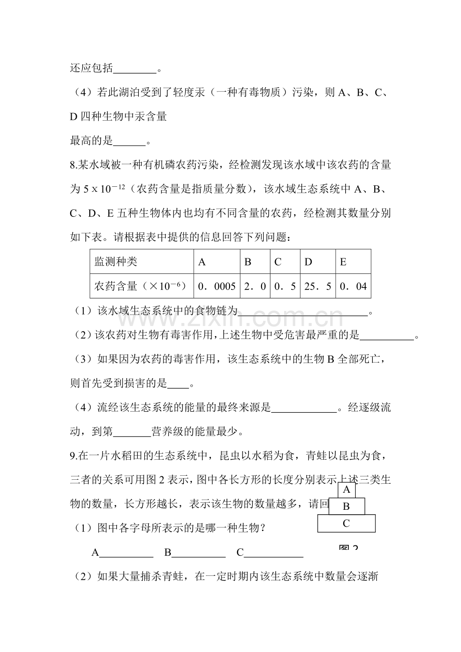 七年级生物食物链同步练习1.doc_第3页