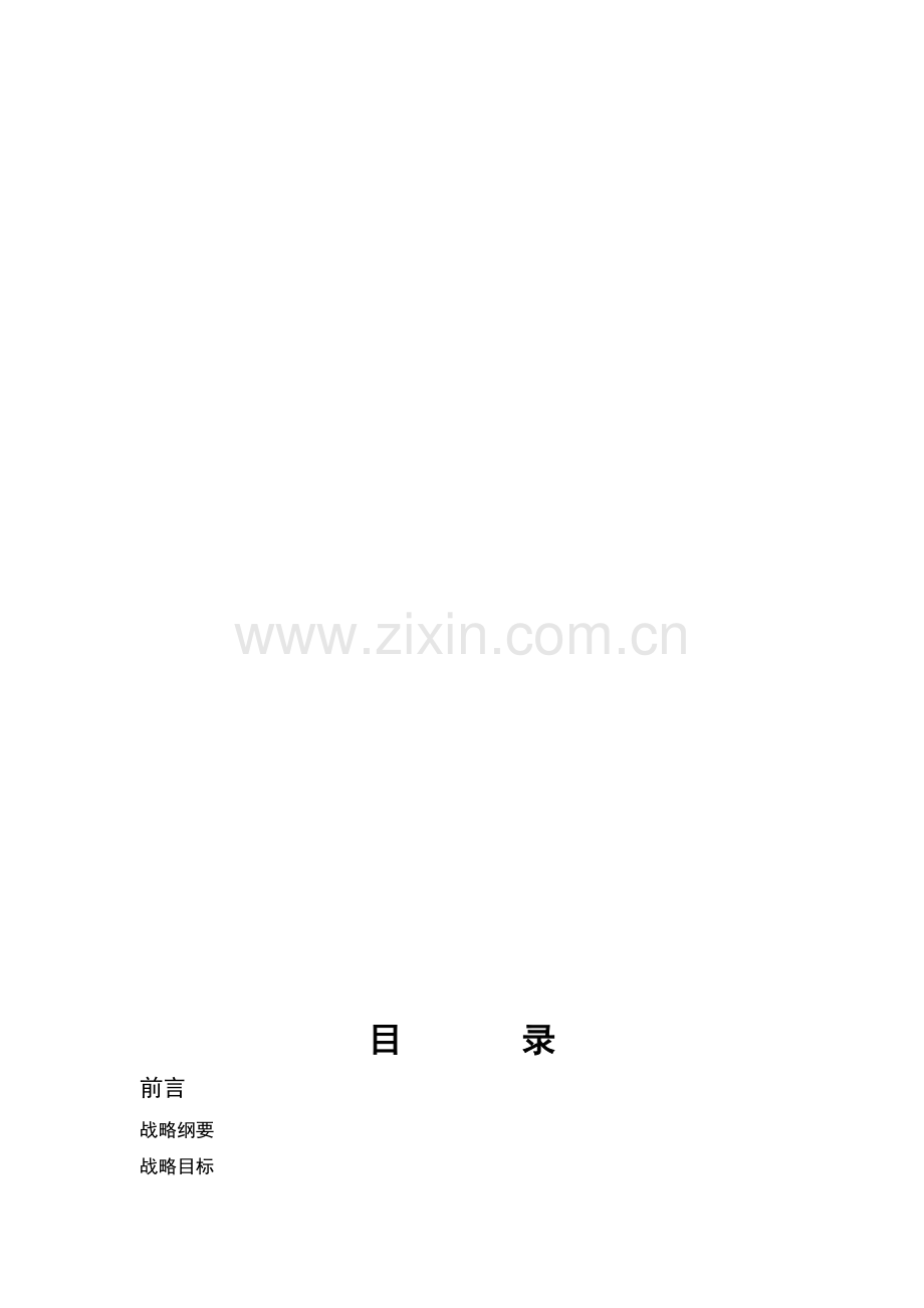 某某公司发展简单规划.doc_第2页