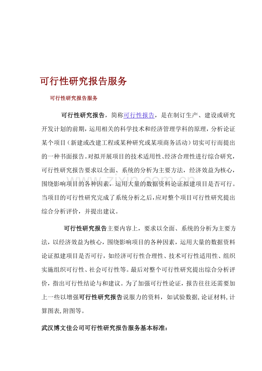 可行性研究报告服务.doc_第1页