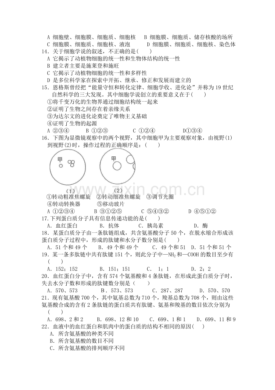 高一生物上册10月月考质量检测试卷6.doc_第2页