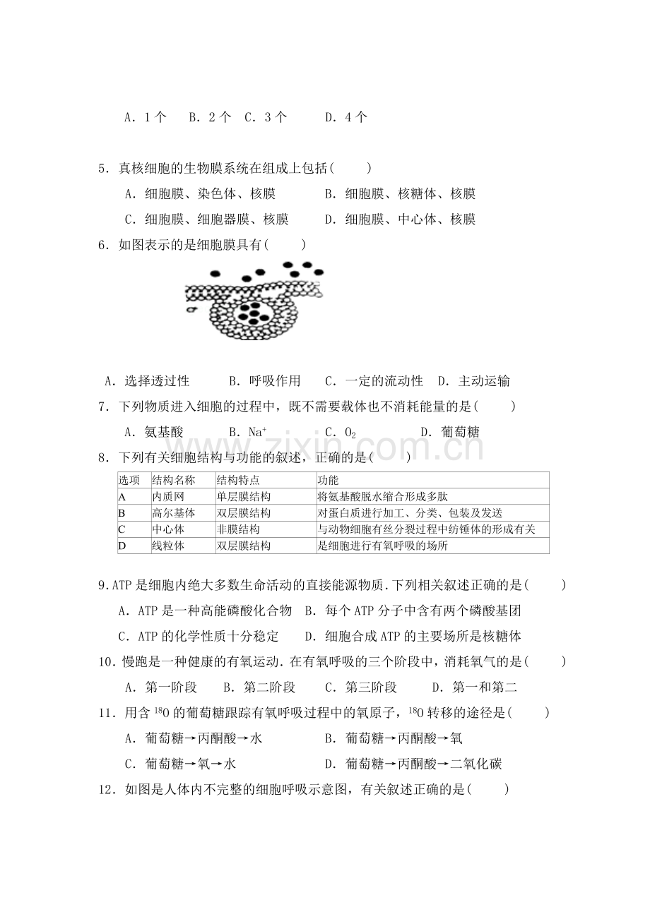 内蒙古赤峰市2015-2016学年高一生物上册期末试题.doc_第2页