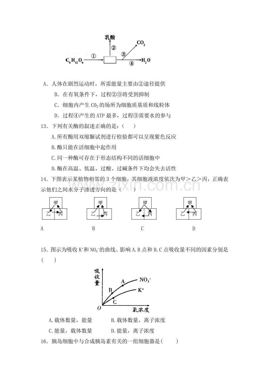 内蒙古赤峰市2015-2016学年高一生物上册期末试题.doc_第3页