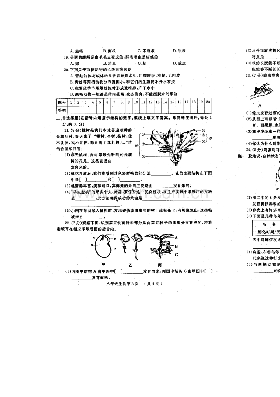 2015-2016学年八年级生物上册期中调研测试1.doc_第2页