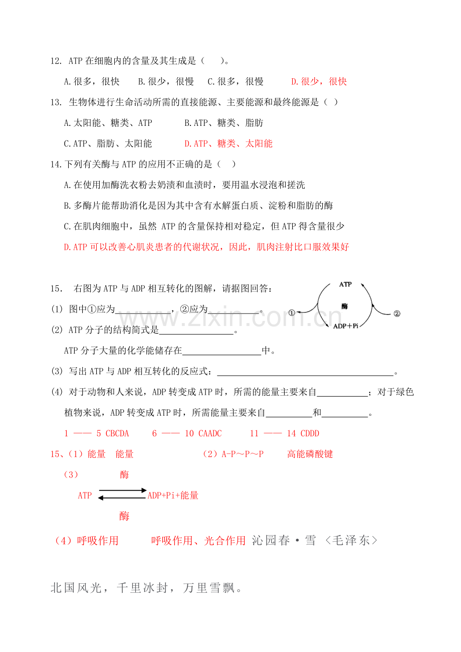 高考一轮复习资料.doc_第3页