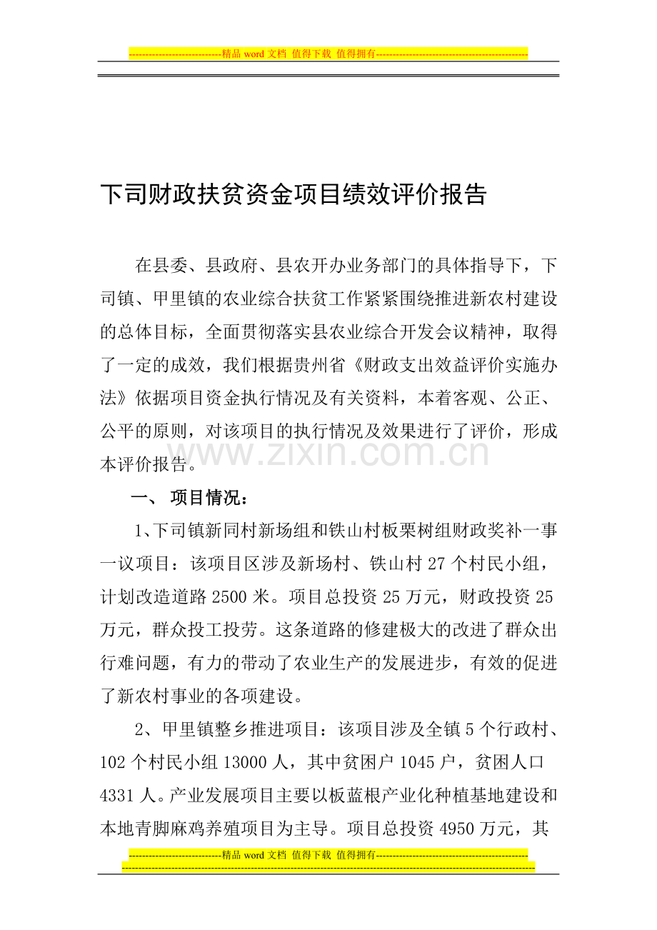 独山县财政扶贫资金项目绩效评价报告.doc_第1页