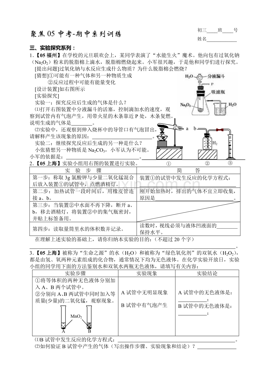 中考化学实验探究系列.doc_第1页