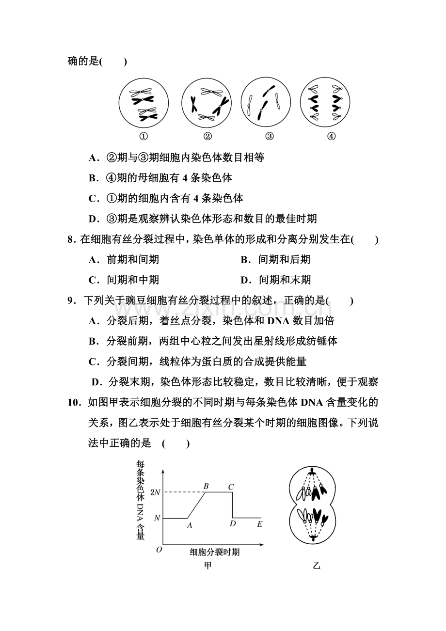 河北省鸡泽县2015-2016学年高一生物下册3月月考试题.doc_第3页