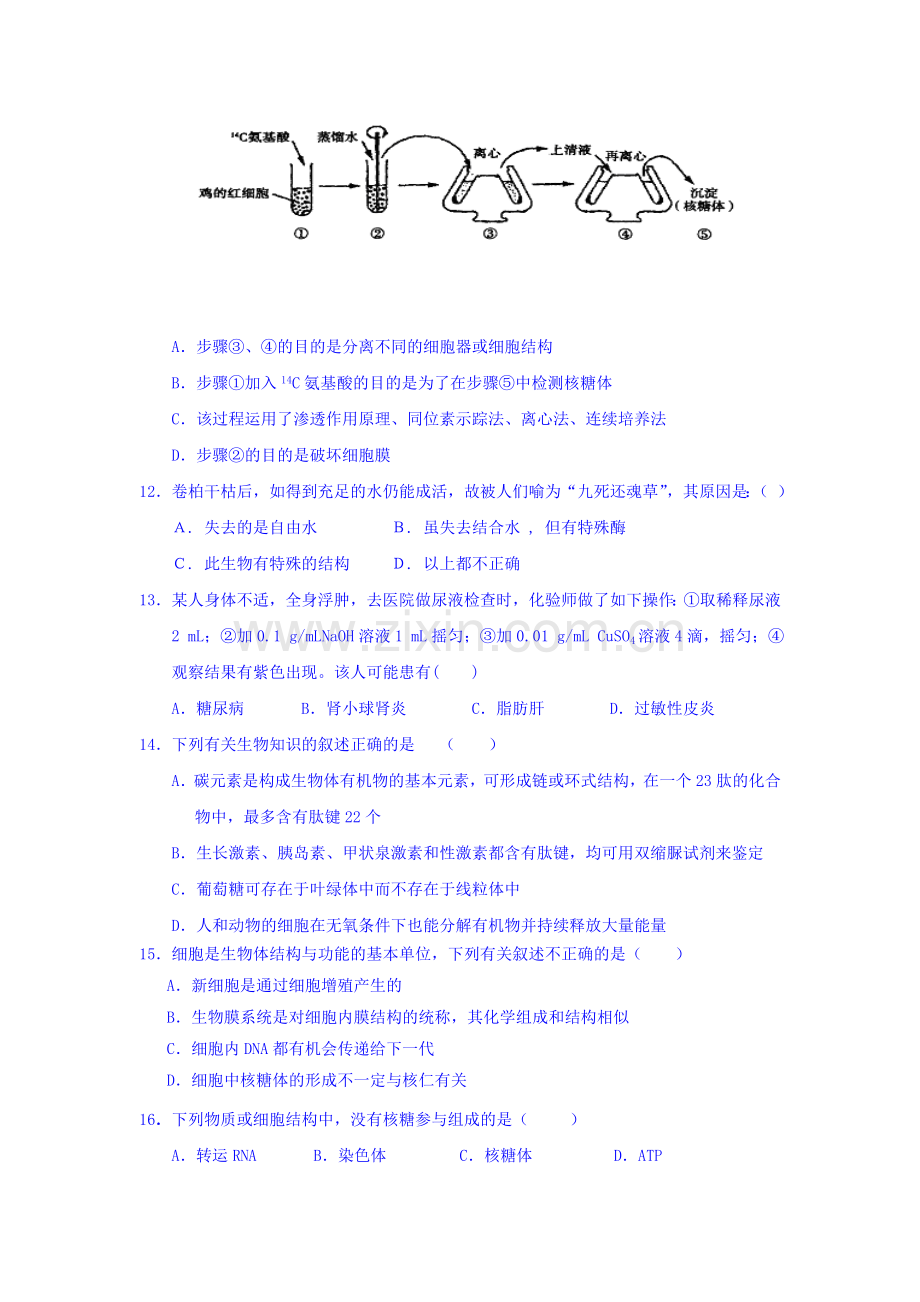 辽宁省葫芦岛市2016-2017学年高一生物上册拓展检测题19.doc_第3页