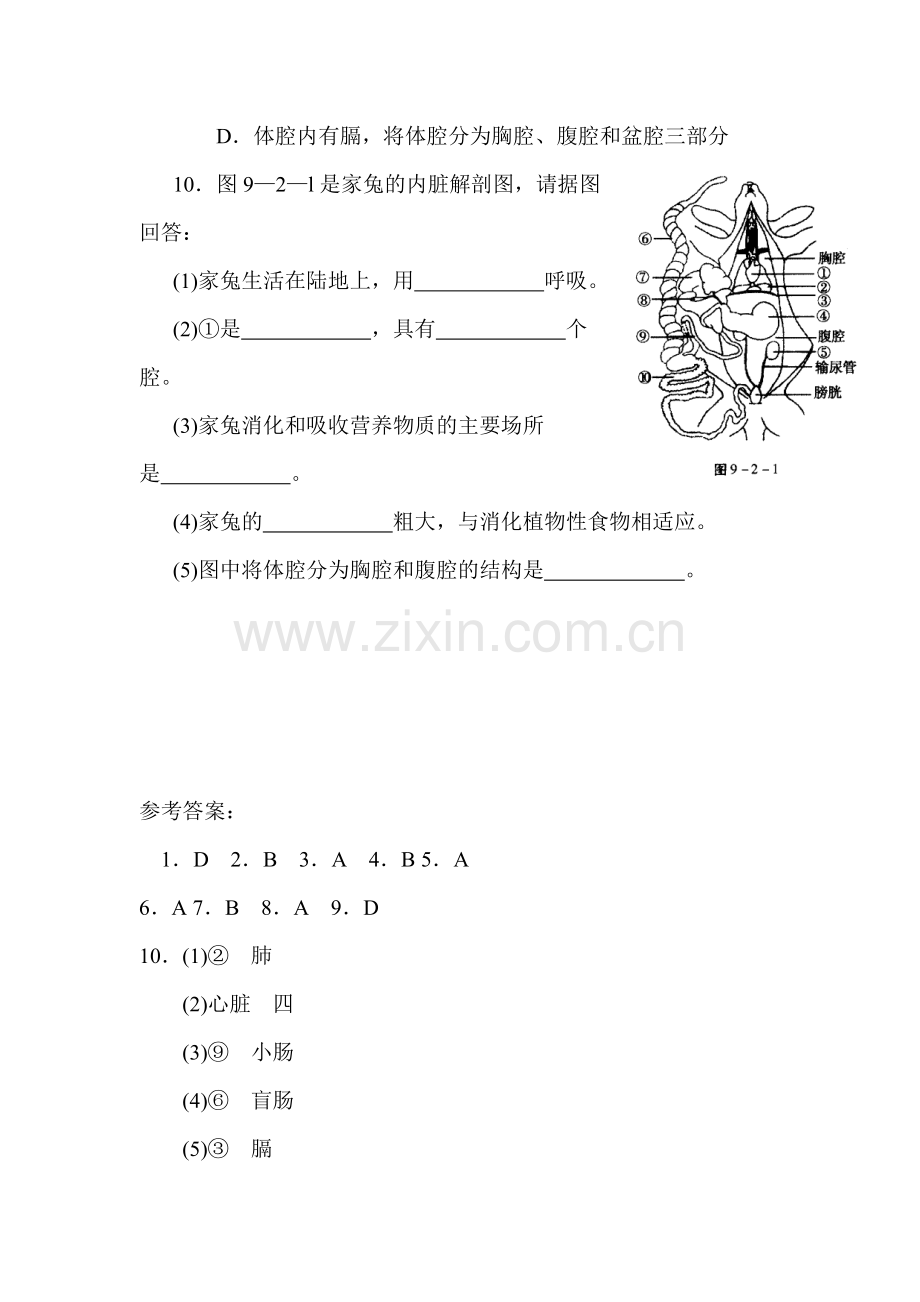 地面上的动物同步练习.doc_第3页