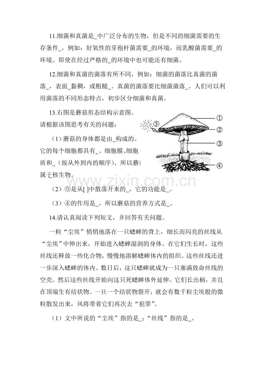 七年级生物细菌同步练习.doc_第3页