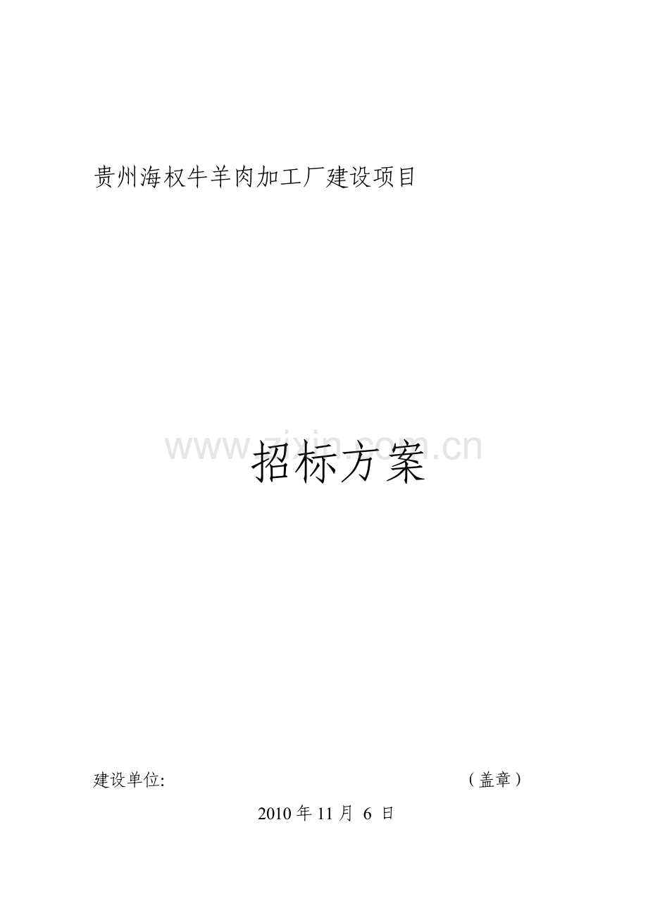 甲方用招标方案(报发改委).doc_第3页