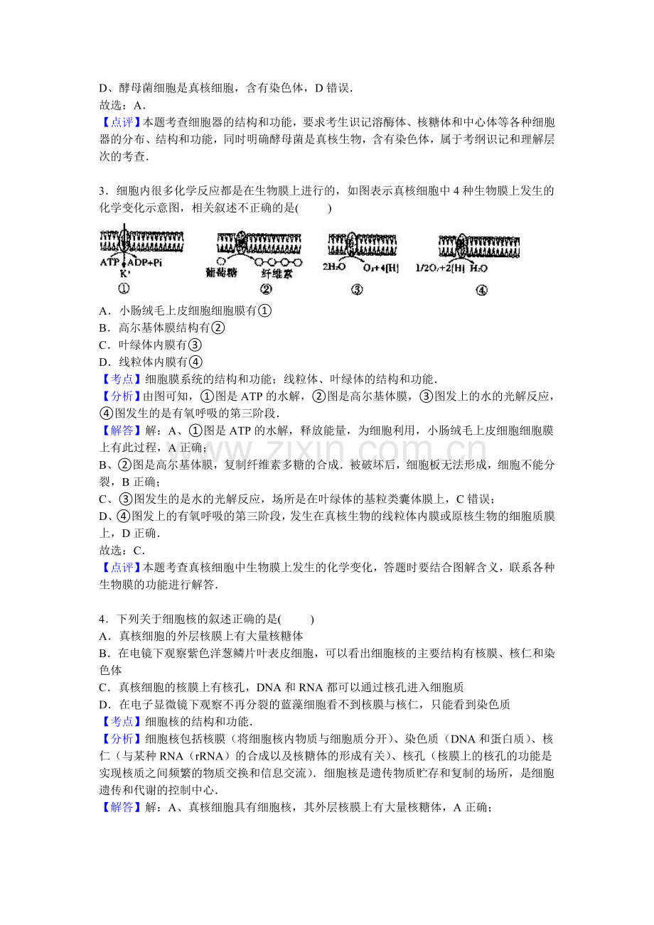 江苏省盐城市2016届高三生物上册期中试题2.doc_第2页