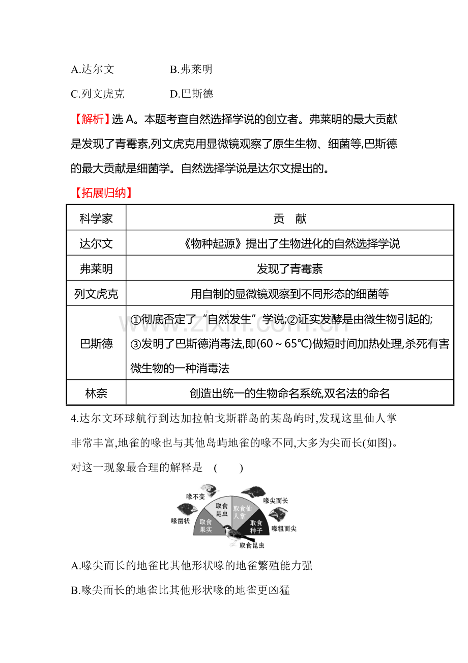 生物进化的学说同步训练题.doc_第3页