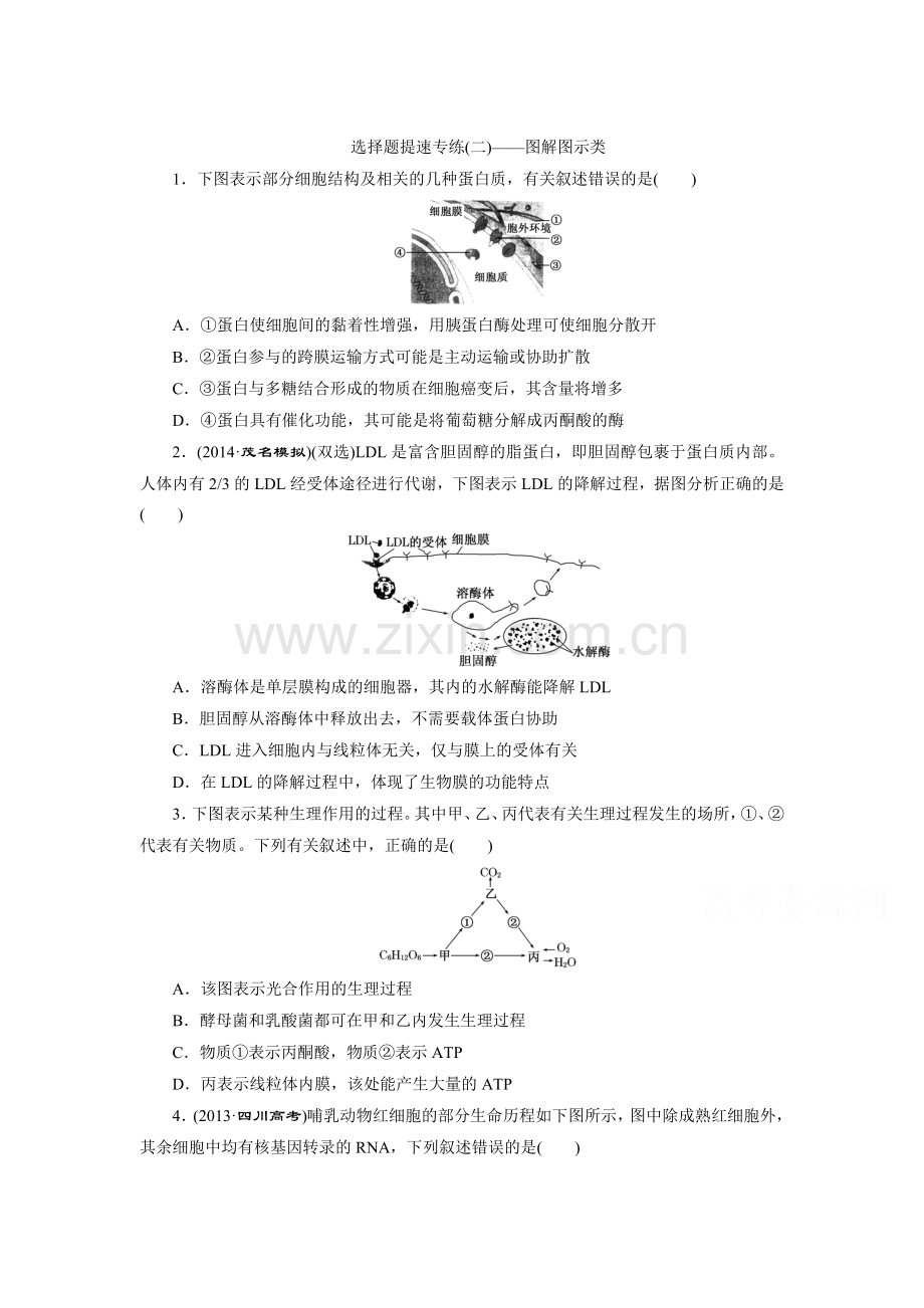 2015届高考生物第二轮专题复习检测10.doc_第1页