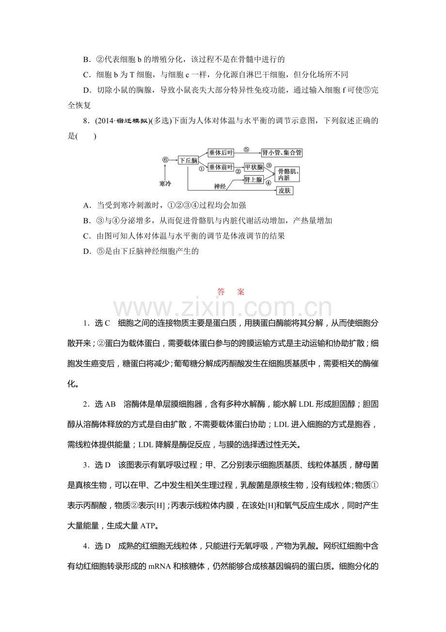 2015届高考生物第二轮专题复习检测10.doc_第3页