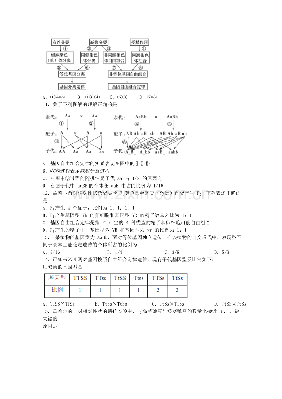 湖北省枣阳市2015-2016学年高一生物下册期中试题1.doc_第3页