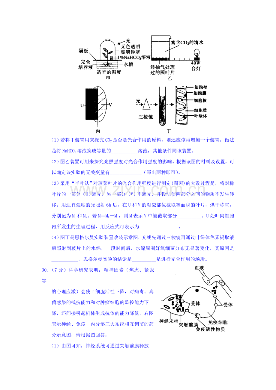 河南省中原2016届高三生物下册4月仿真模拟试题1.doc_第3页