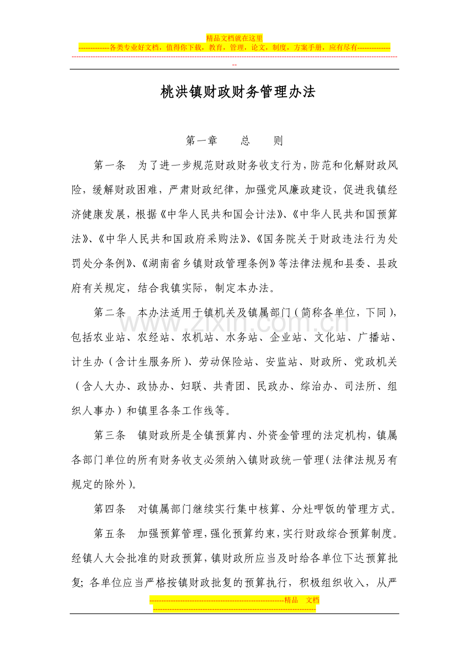 桃洪镇2007年财政财务管理办法.doc_第1页