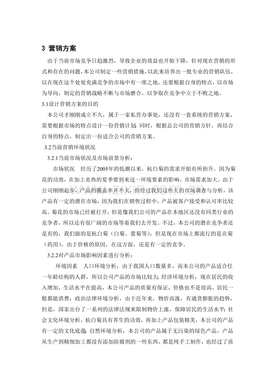 某企业营销方案设计.doc_第3页