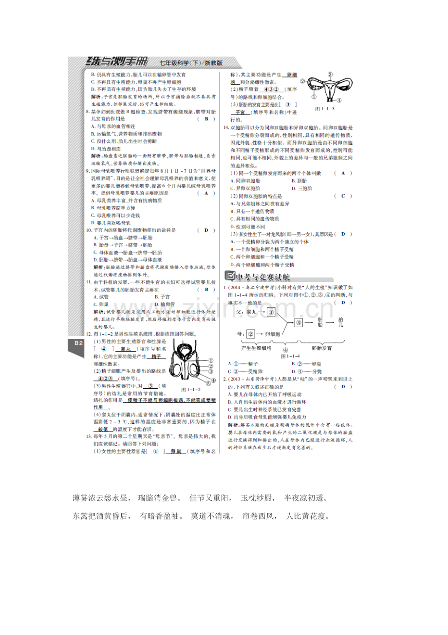 新生命的诞生检测题.doc_第2页