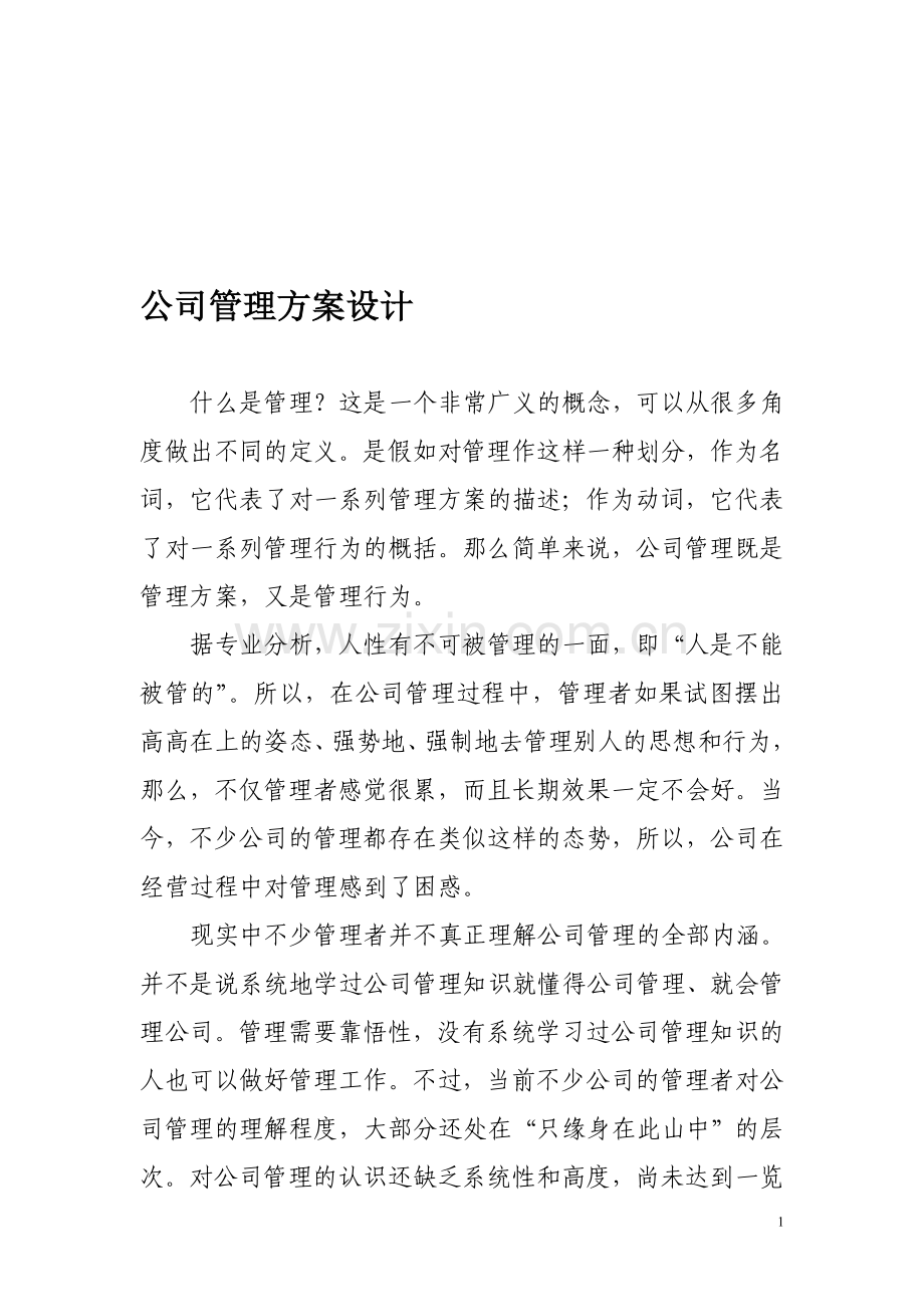 公司管理方案设计.doc_第1页