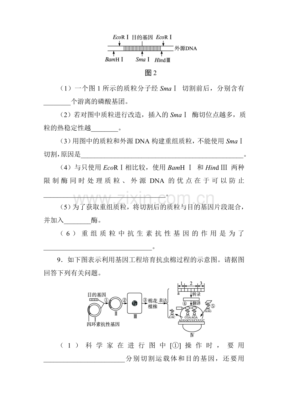 2016-2017学年高一生物下学期章末测试题27.doc_第3页