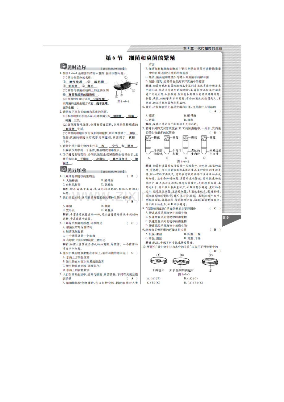 七年级科学细菌和真菌的繁殖检测题.doc_第1页