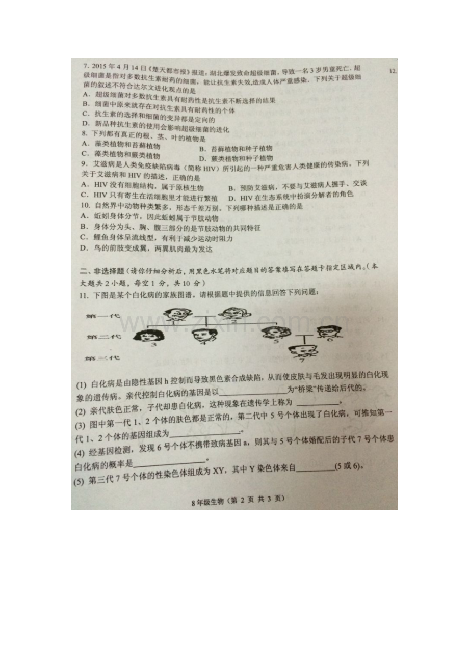 湖北省孝感市2015-2016学年八年级生物上册期末试卷.doc_第2页