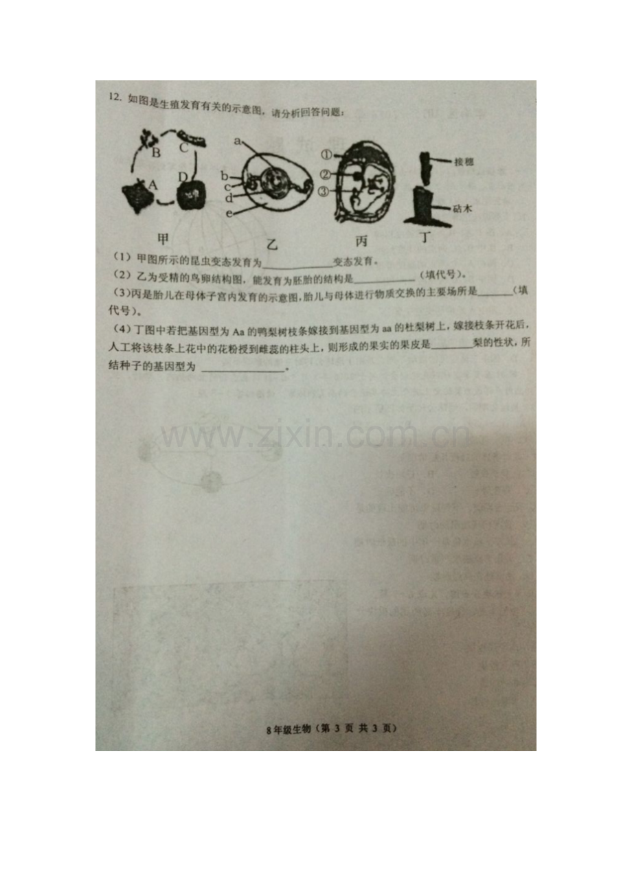 湖北省孝感市2015-2016学年八年级生物上册期末试卷.doc_第3页