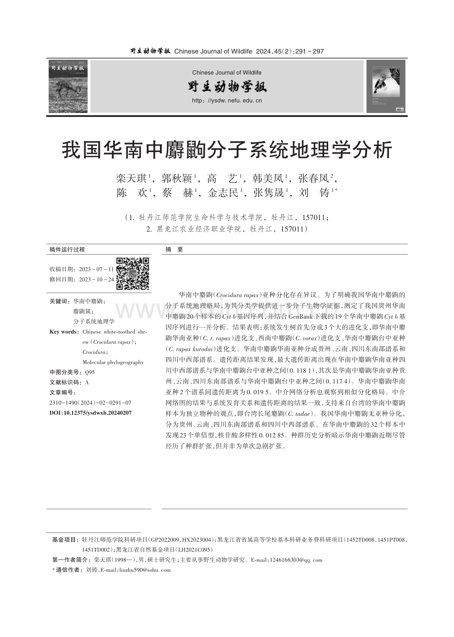 我国华南中麝鼩分子系统地理学分析.pdf_第1页