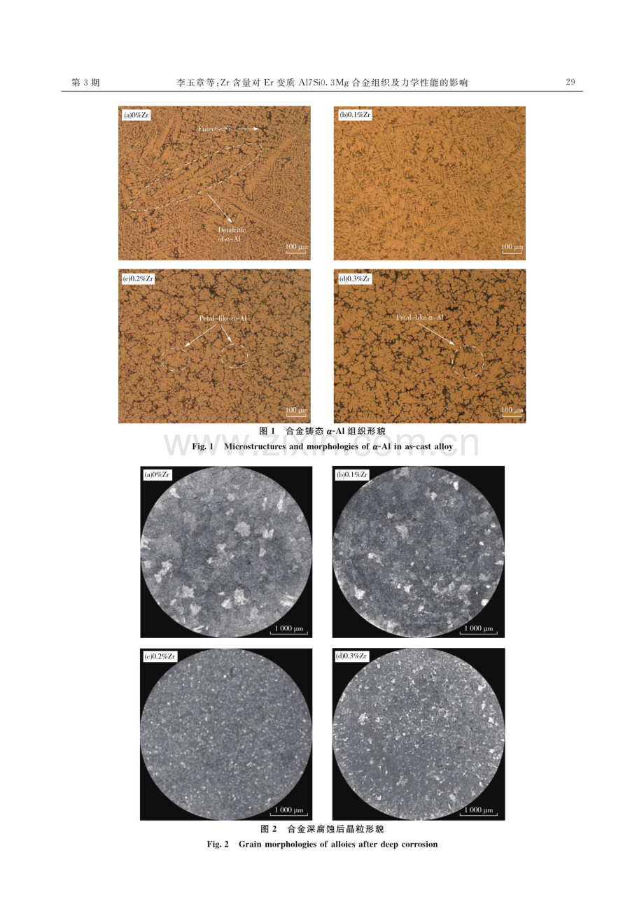 Zr含量对Er变质Al7Si0.3Mg合金组织及力学性能的影响.pdf_第3页