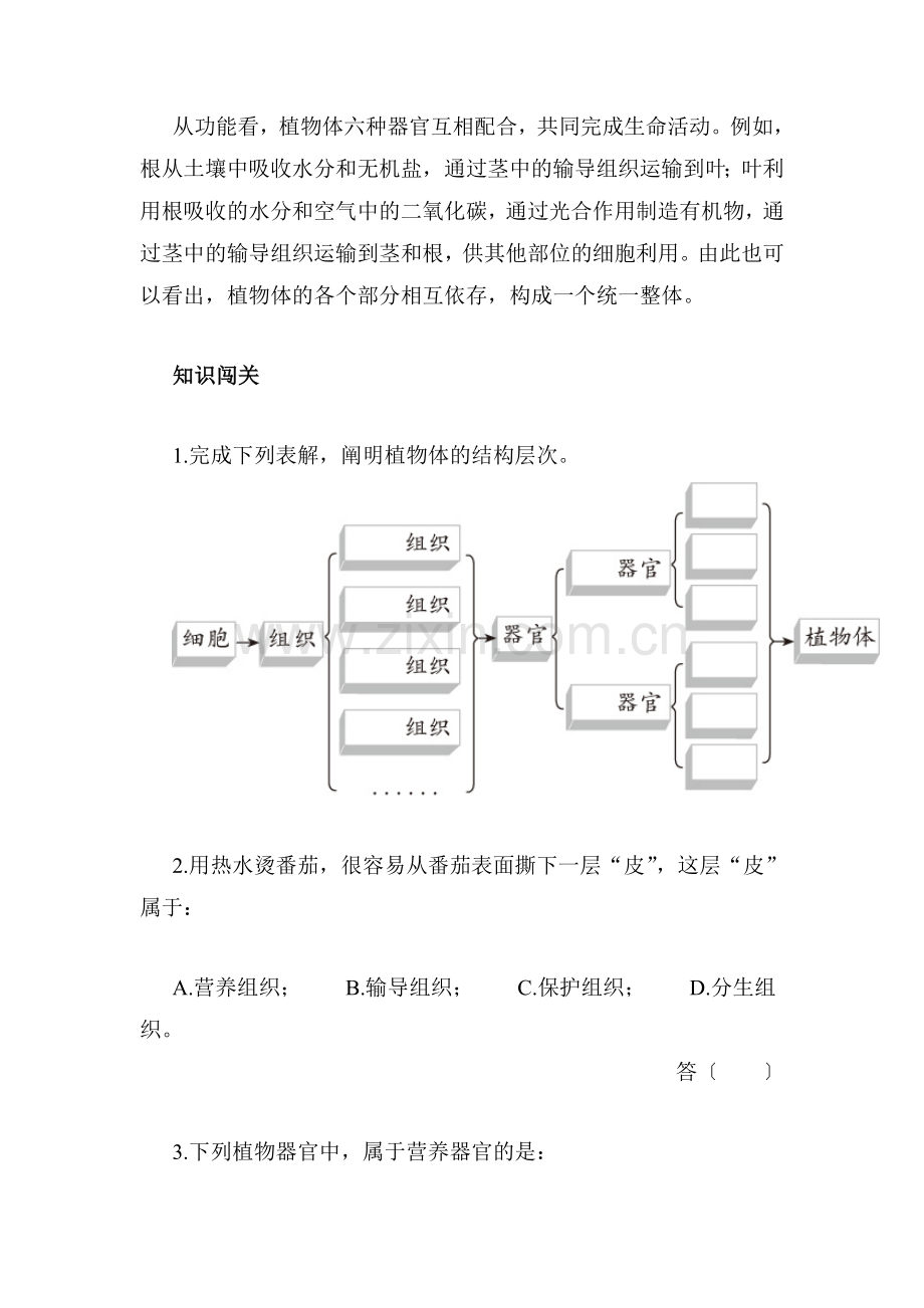 七年级生物上学期课时综合测评试题4.doc_第2页