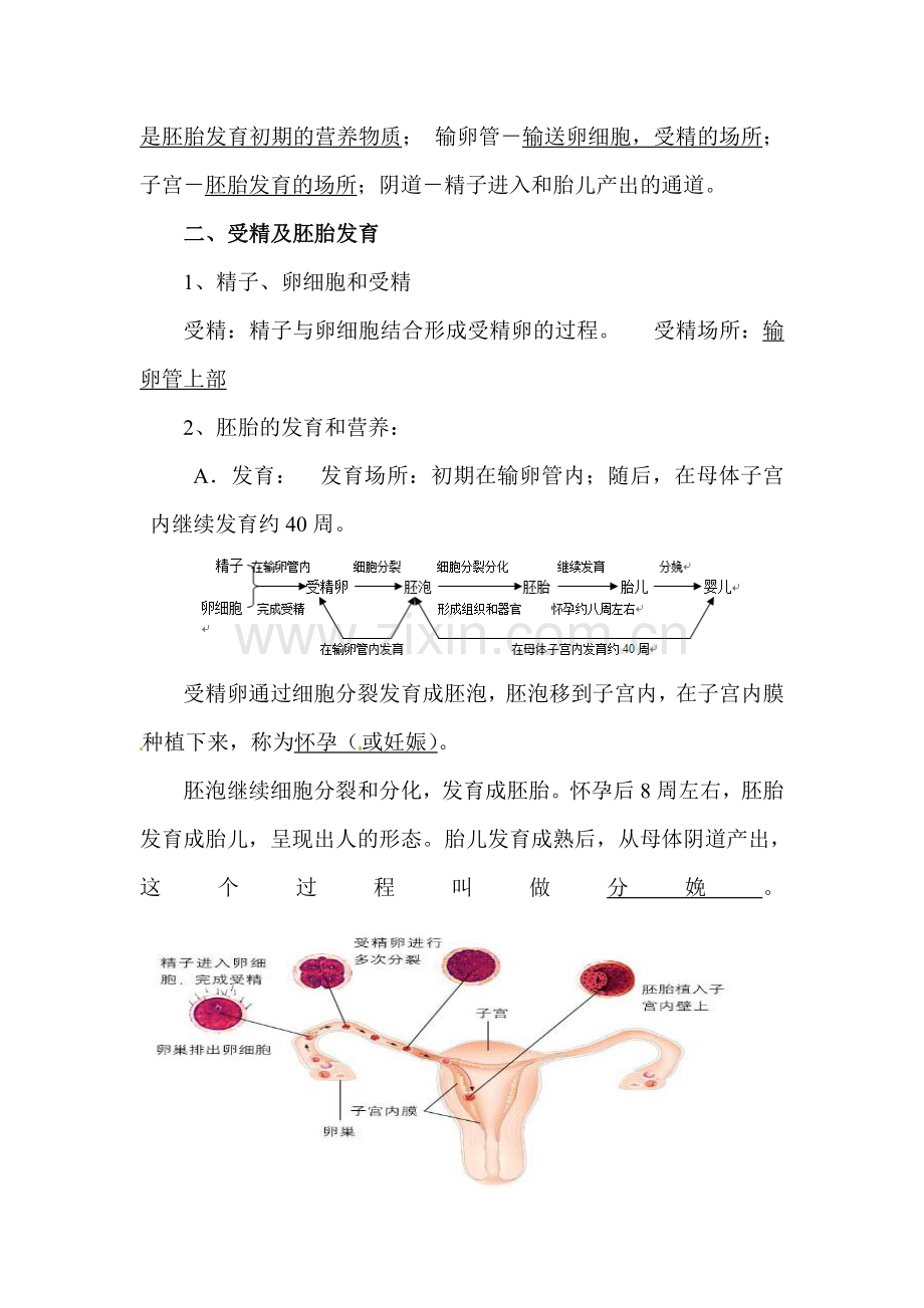 2016届中考生物知识梳理复习检测8.doc_第2页