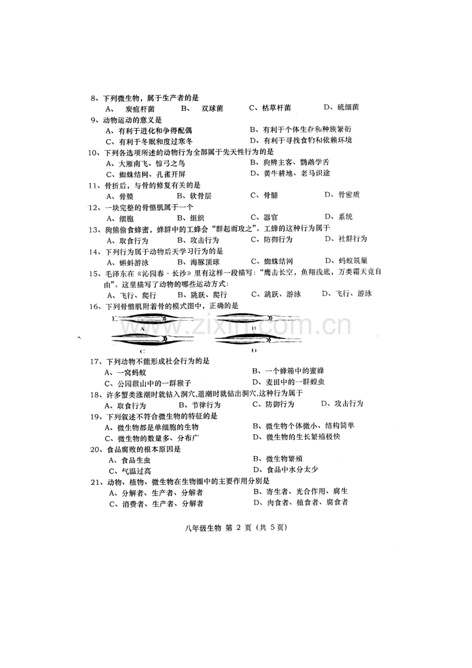 2015-2016学年八年级生物上册期中考试题7.doc_第2页