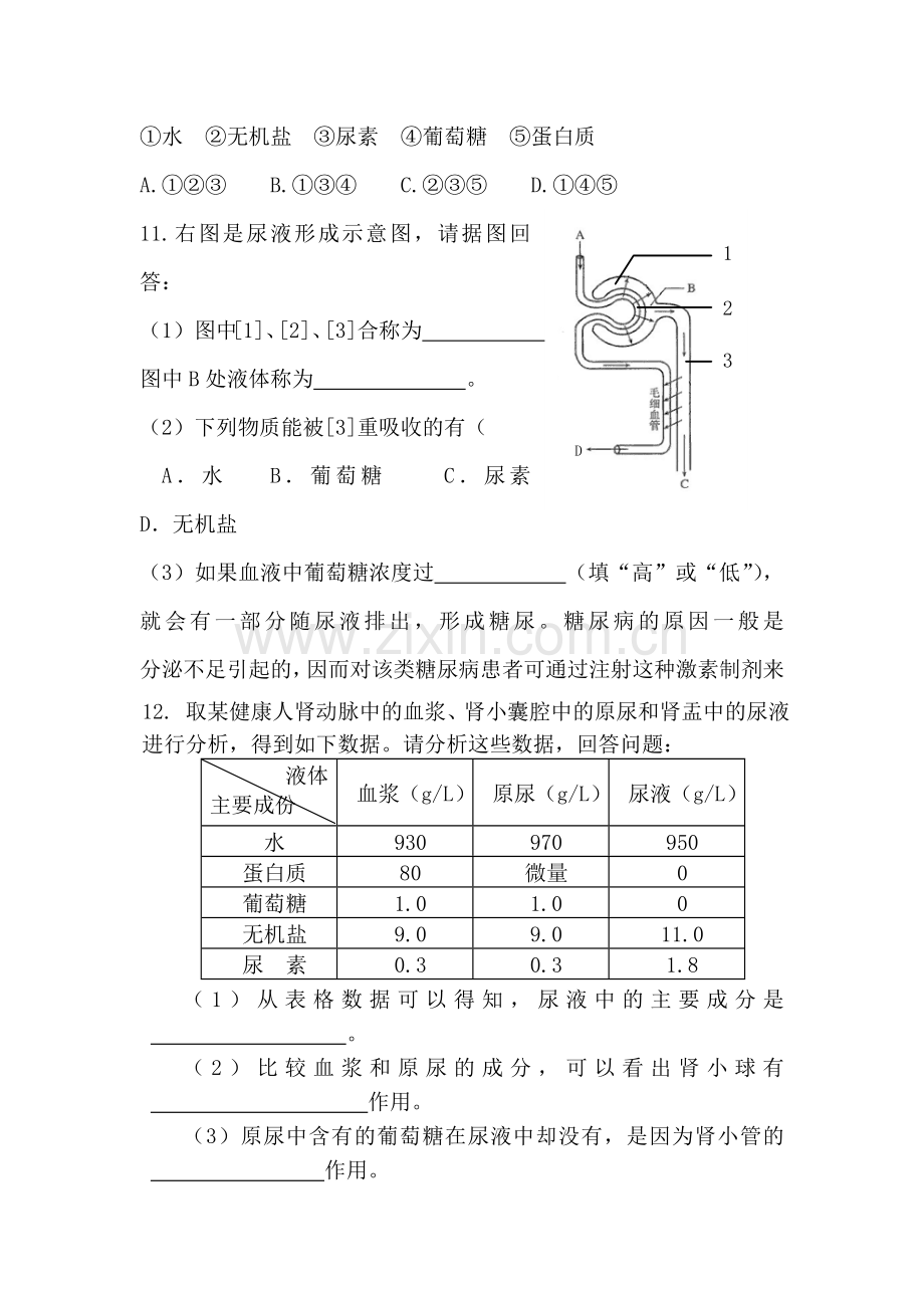 七年级生物尿的形成与排出同步练习.doc_第2页