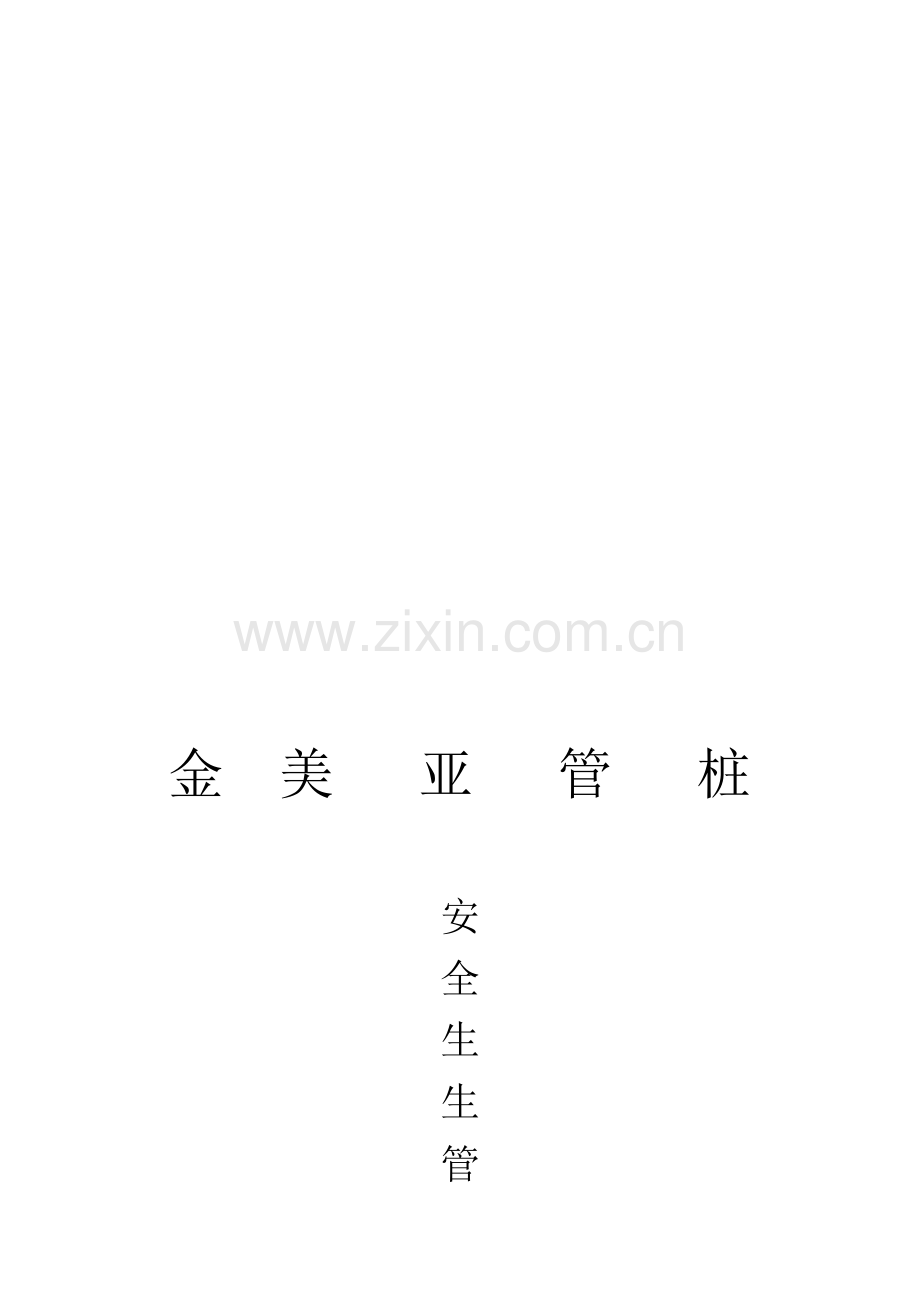 管桩安全制度.doc_第1页