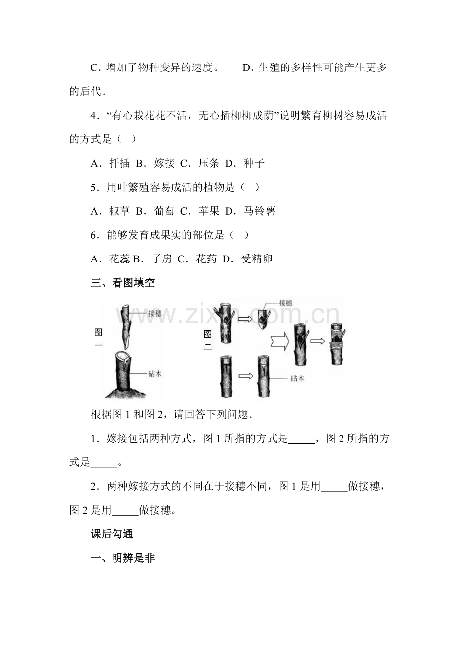 植物的生殖同步练习2.doc_第3页