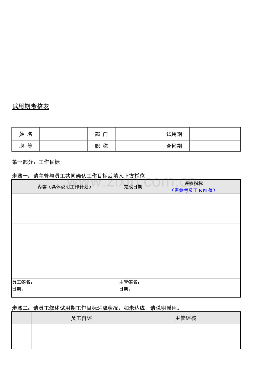 集团-职业试用期考核表..doc_第1页