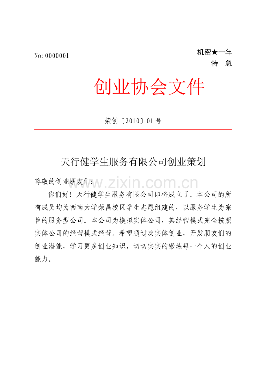 团队商业策划书.doc_第1页