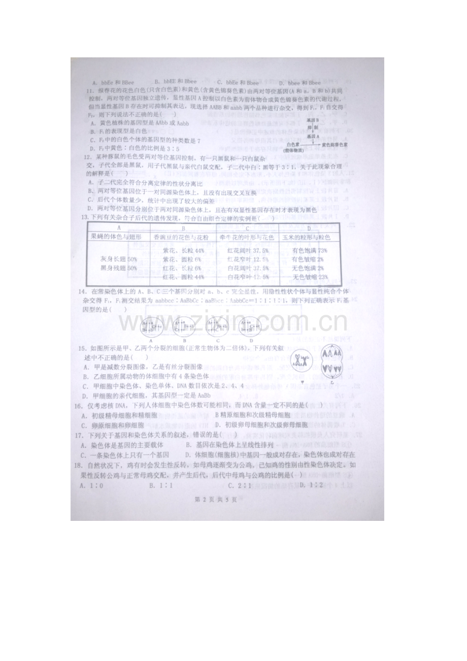 高一生物下册期中考试试卷9.doc_第2页