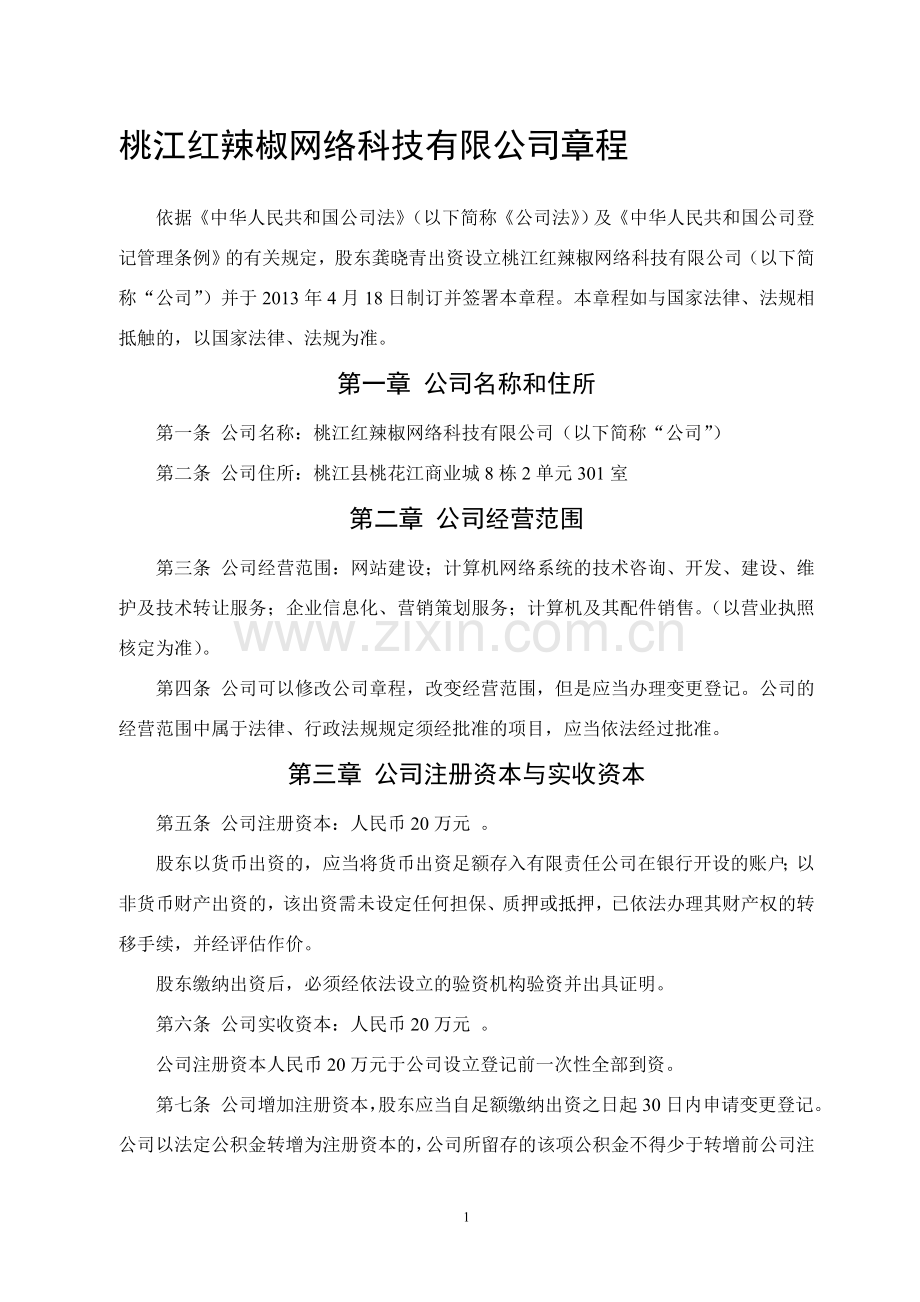 桃江红辣椒网络科技有限公司章程(独资).doc_第1页