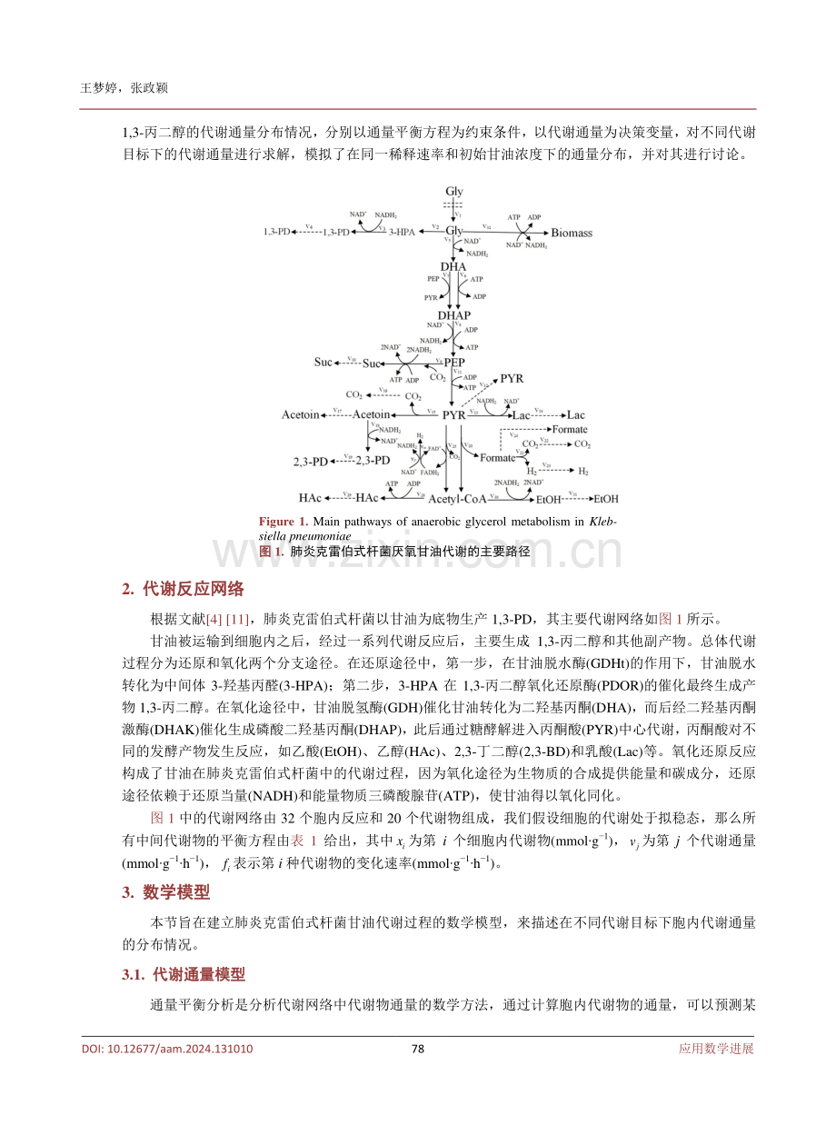 不同代谢目标下甘油代谢通量分布的模型与计算.pdf_第3页