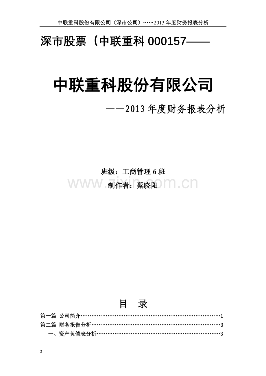 2013年中联重科财务报表分析.doc_第2页