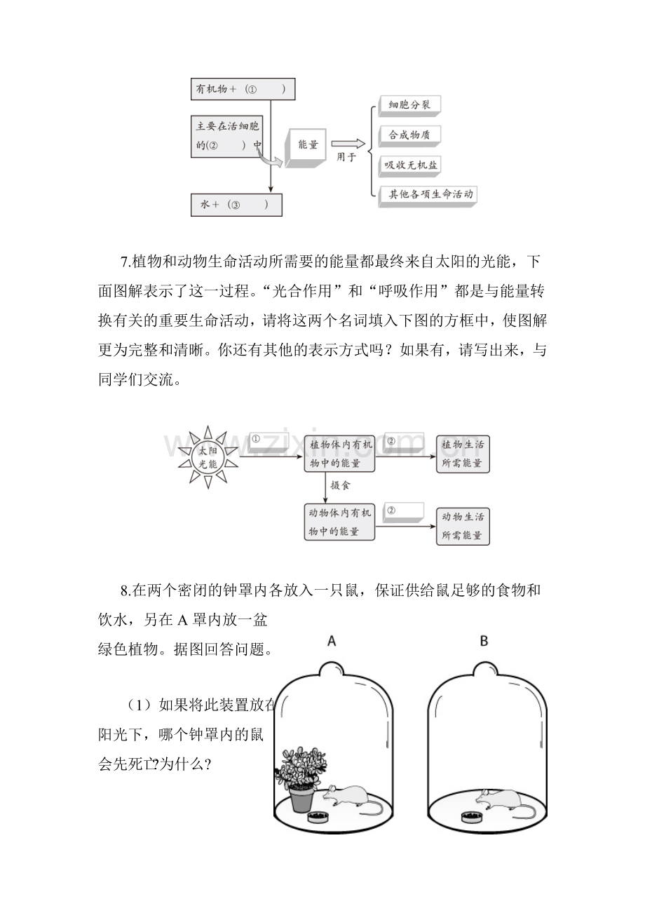 七年级生物上学期课时综合测评试题14.doc_第3页