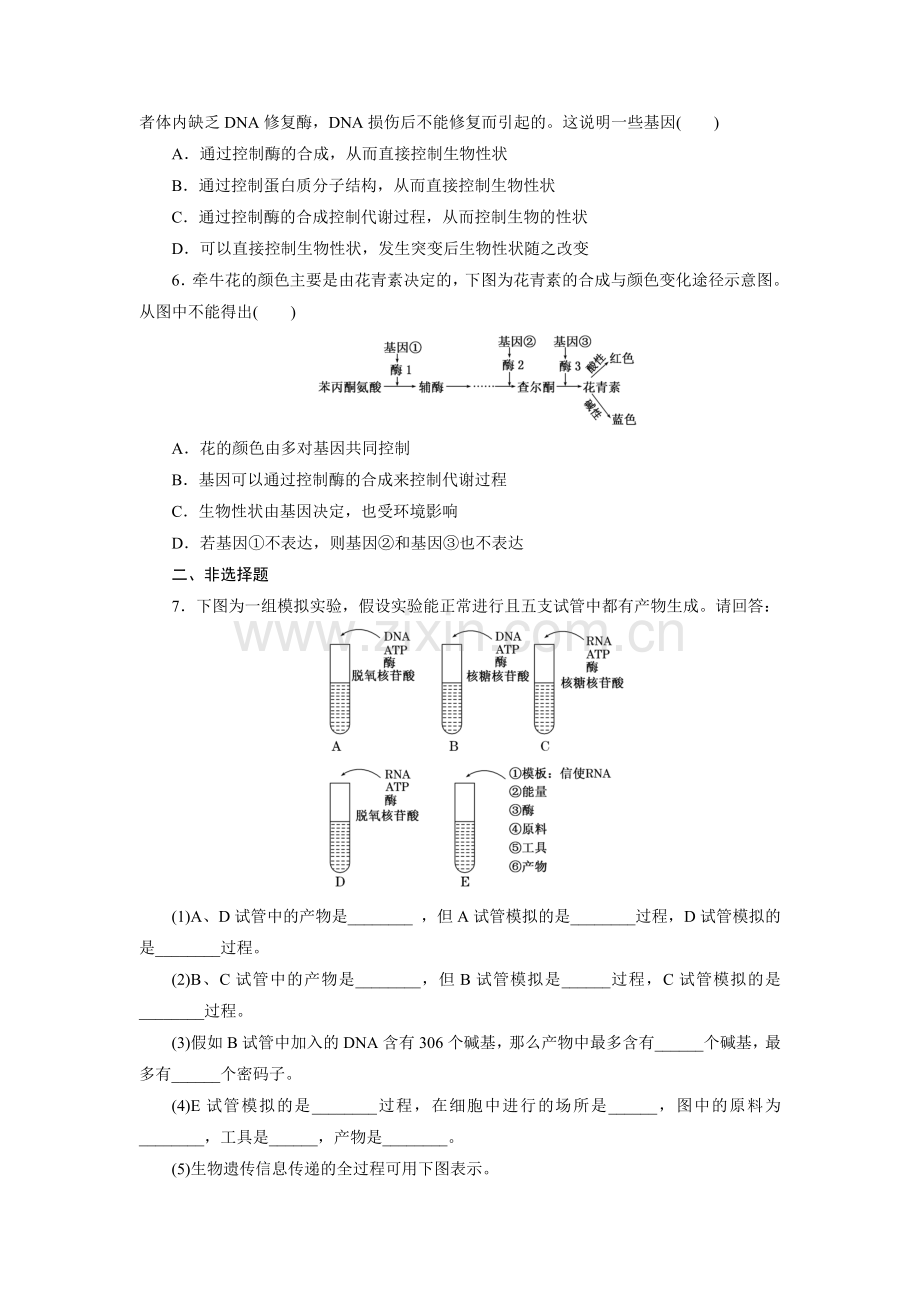 高一生物上学期课时跟踪检测16.doc_第2页