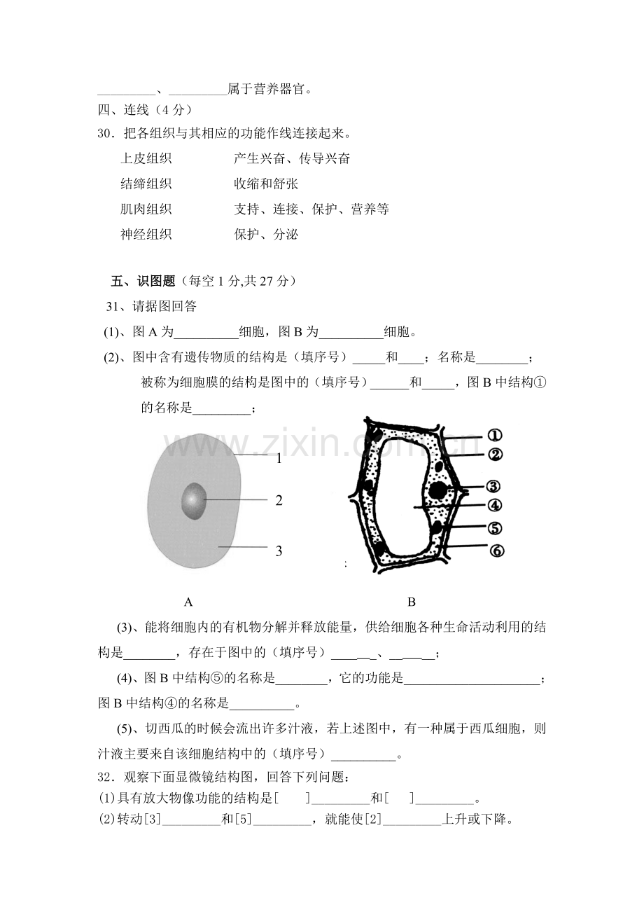 七年级生物上册第一学月检测试题1.doc_第3页