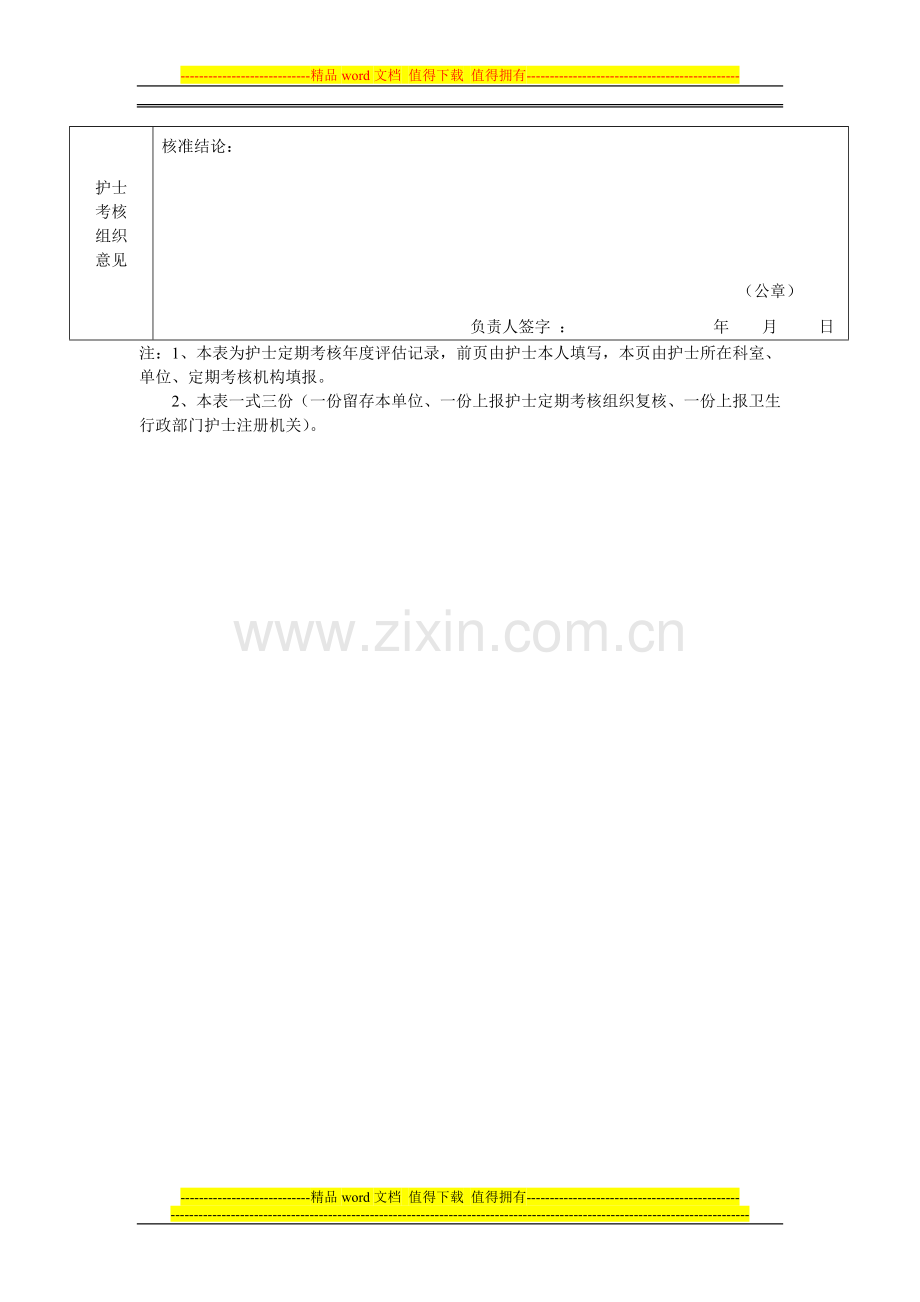 护士年度考核表..doc_第3页